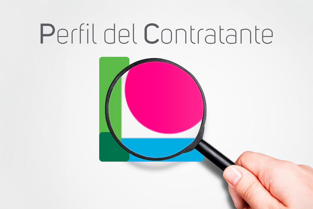 Perfil del Contratante